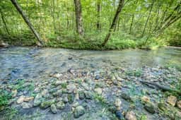 Dog Oasis: 2 Fenced acres, creek